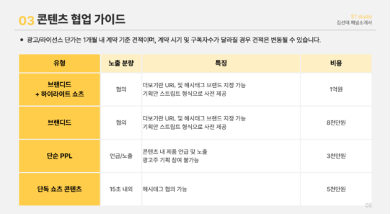 ‘김선태 채널 소개서’로 SNS에 확산하고 있는 문서 일부. [SNS 갈무리]
