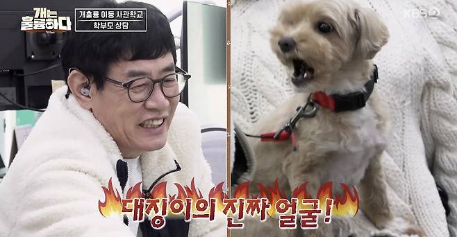 KBS 2TV ‘개는 훌륭하다’