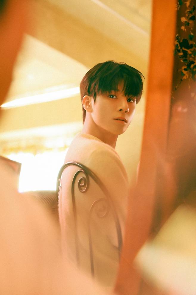 쇼플레이엔터테인먼트 제공