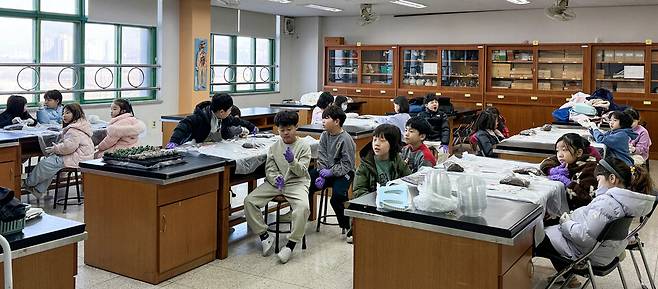 ▲ 금곡초등학교 '겨울방학 원예교실' 활동 모습.&nbsp;/사진제공=금곡초등학교&nbsp;