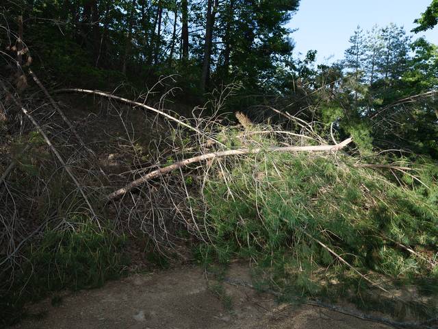 권도연 작, '파도' 대구 021 갤러리 제공