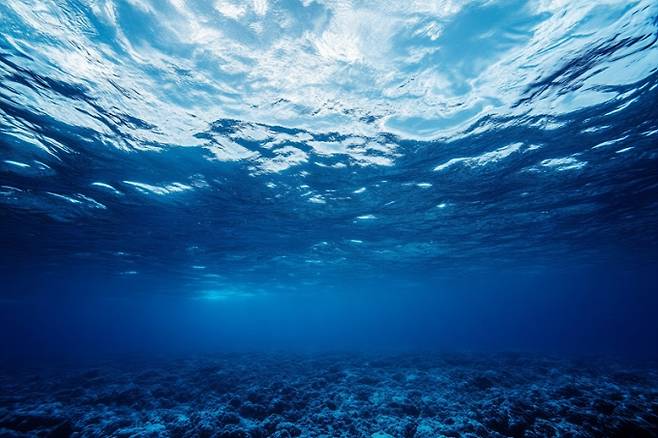 (출처=모션엘리먼츠)