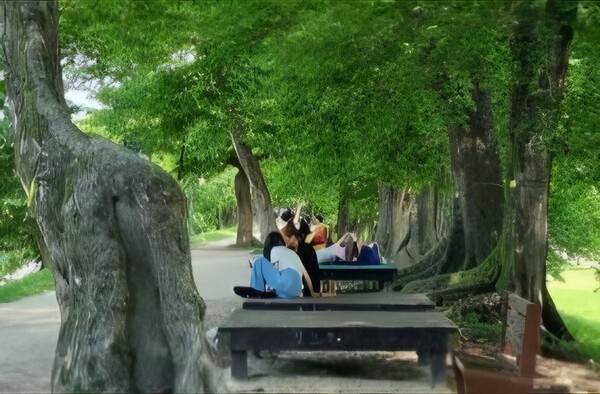 류인자 약사 제공.