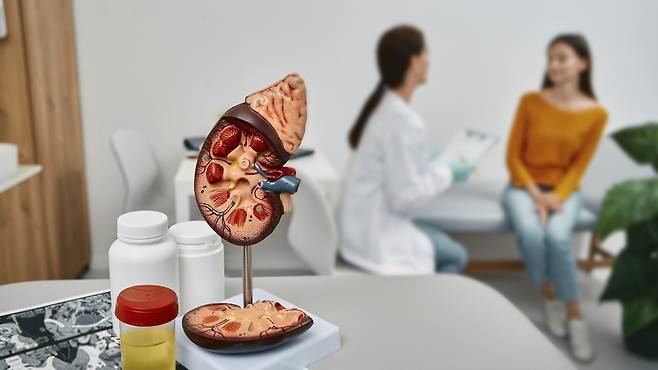 투석은 마지막 수단이 아닌 투석을 '삶의 새로운 균형'을 만드는 치료이다 | 출처: 클립아트코리아