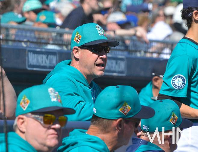 (댄 윌슨 시애틀 감독)