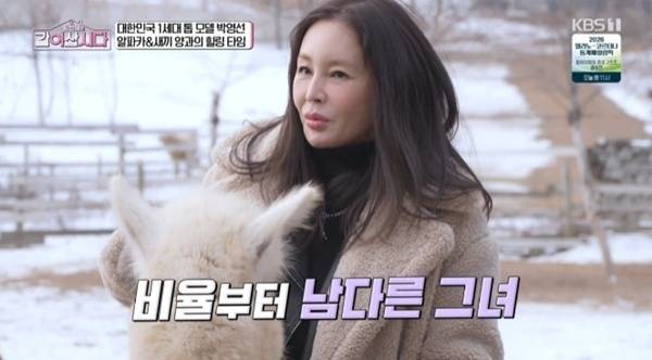 KBS 1TV '황신혜의 같이 삽시다' 캡처