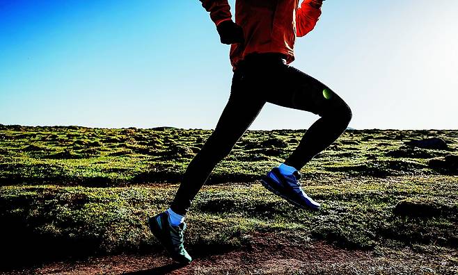 게티이미지뱅크