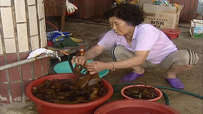 고 김신열 씨의 2007년 독도 거주 당시 모습