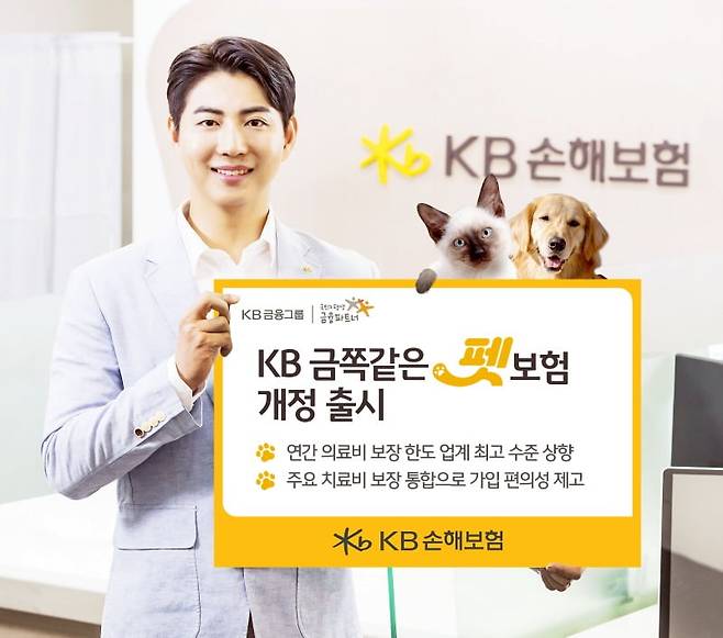 사진=KB손해보험