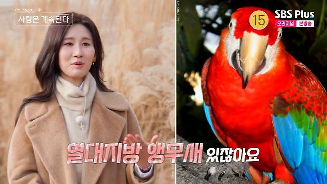 SBS Plus '나솔사계' 화면 캡처