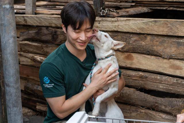 이상경 한국 휴메인 월드 포 애니멀즈 캠페인팀장이 지난달 25일, 인도네시아 NTT 주 쿠팡 지역에서 운영하던 식용견 농장의 개들을 구조하고 있다. 한국 휴메인 월드 포 애니멀즈 제공