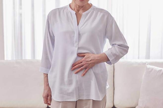 식이섬유를 갑자기 많이 섭취하면 장내 세균이 이를 분해하는 과정에서 가스가 많이 생성될 수 있다./사진=클립아트코리아