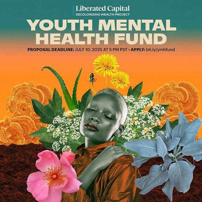 디컬로니징 웰스 프로젝트는 청소년 마음건강을 위해 ‘청소년 마음건강 기금’을 출범하고 문화적 배경을 고려한 지원 모델을 확산하고 있다. [사진 디컬로니징웰스프로젝트]