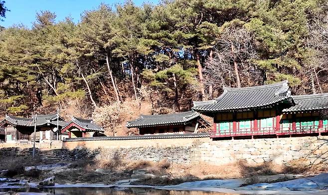 울창한 소나무 숲과 맑은 계류가 어우러진 봉화 석천계곡 전경. 황준오기자