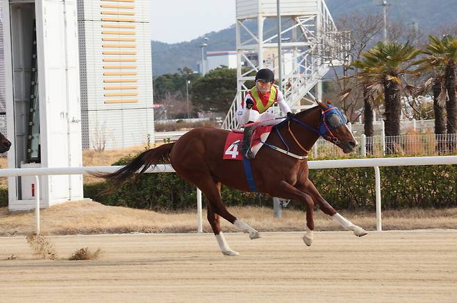 '빈체로카발로'와 조재로 기수가 우승 세레머니를 펼치고 있다. /한국마사회 제공