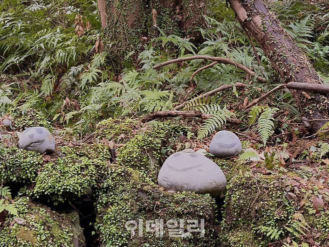 지난 6일 제주 곶자왈 풍경 (사진=이민하 기자)