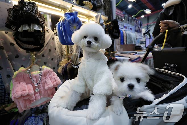 반려동물 자료사진.ⓒ 뉴스1 박정호 기자