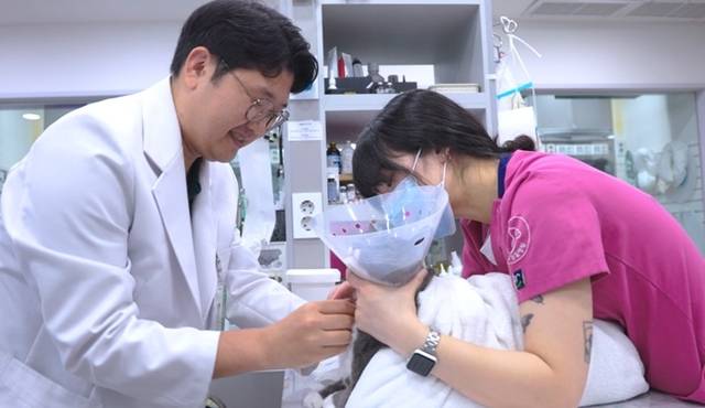 사진 제공= 에이드동물병원