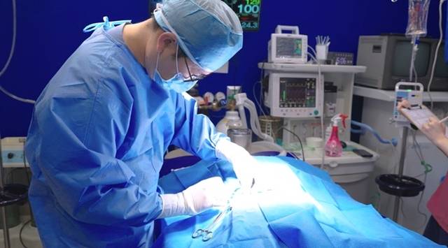 사진 제공= 에이드동물병원