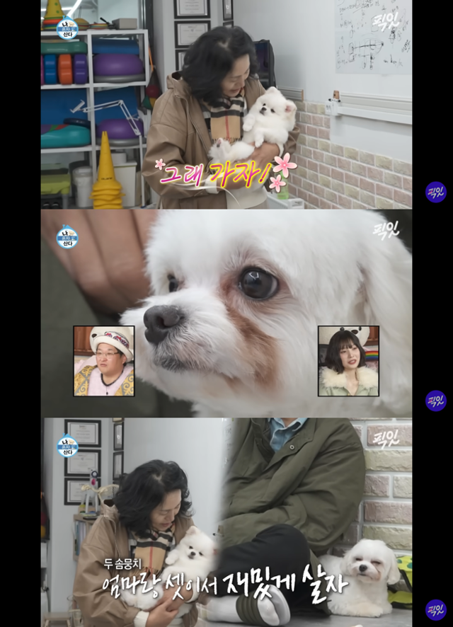 유튜브채널 픽잇 캡처