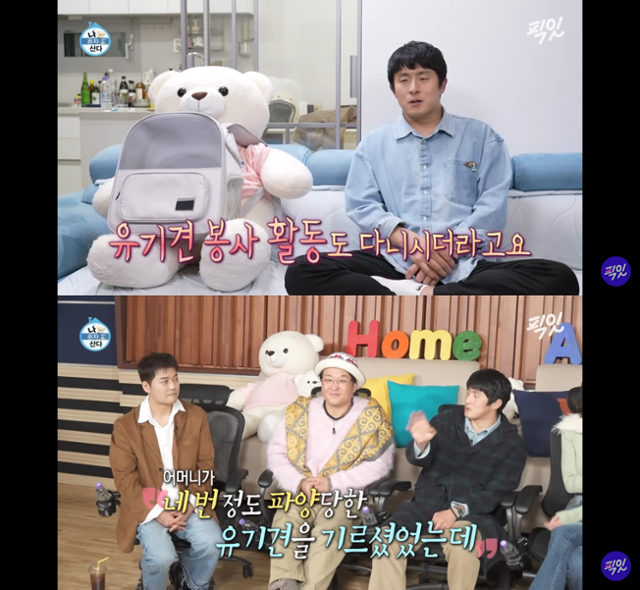 유튜브채널 픽잇 캡처