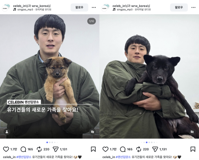 유기견 입양 홍보에 참여한 기안84 @celeb_in 캡처