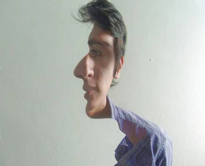 베네수엘라 작가 헤수스 곤잘레스의 '페이스 일루전' 연작 중 하나. 피카소의 입체주의 화풍을 실제로 적용하면 어떤 느낌인지 확인할 수 있는 참고 자료다.