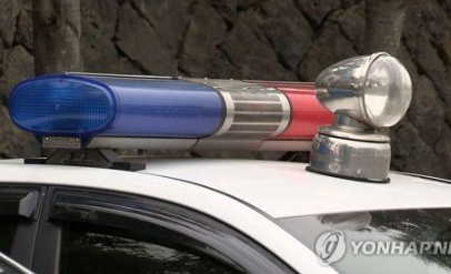 경찰차 사이렌/출처: 연합뉴스