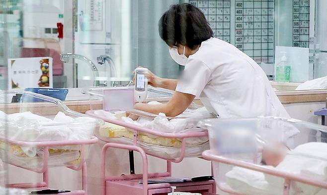 서울 시내 한 산후조리원 신생아실에서 간호사가 신생아들을 돌보고 있다. 공동취재사진