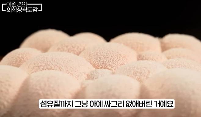 영상의학과 전문의 이원경 원장은 한국인들이 일상적으로 먹는 음식 가운데 췌장 건강에 악영향을 줄 수 있는 식품들을 소개했다. 유튜브 채널 ‘이원경의 의학상식도감’ 캡처