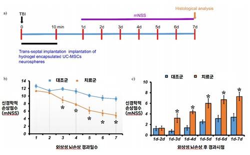 비강을 통해 전달된 줄기세포 치료제의 치료 효과 비교 실험 그래프 [한림대학교춘천성심병원 제공. 재판매 및 DB 금지]