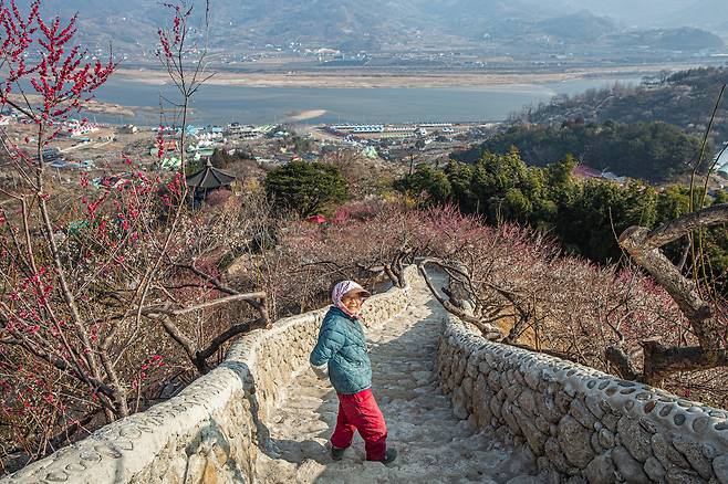 홍쌍리 명인은 "지난겨울에 돌계단을 쌓느라 죽을 고생을 했다"면서도 "이래 쌓아놓으니 을매나 좋노, 안 글나?"하며 웃었다. / 김종연 영상미디어 객원기자