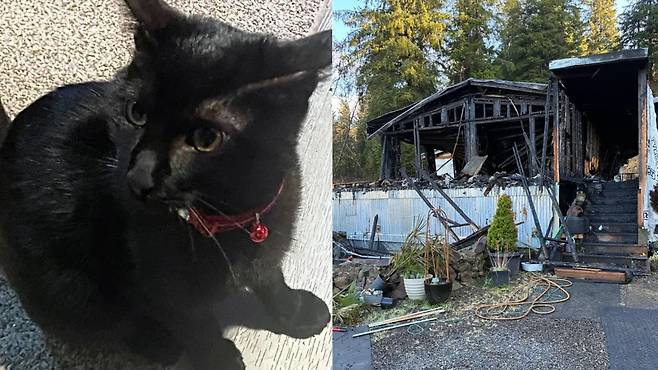 잠자던 주인을 구하기 위해 스스로를 희생한 ‘충성스러운’ 고양이 프레드, 화재 피해를 입은 집. /엑스(X·옛 트위터)