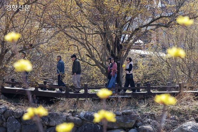 전남 구례군 산동면 반곡마을을 찾은 상춘객들이 13일 산수유꽃이 활짝 핀 길을 걷고 있다. 구례|한수빈 기자