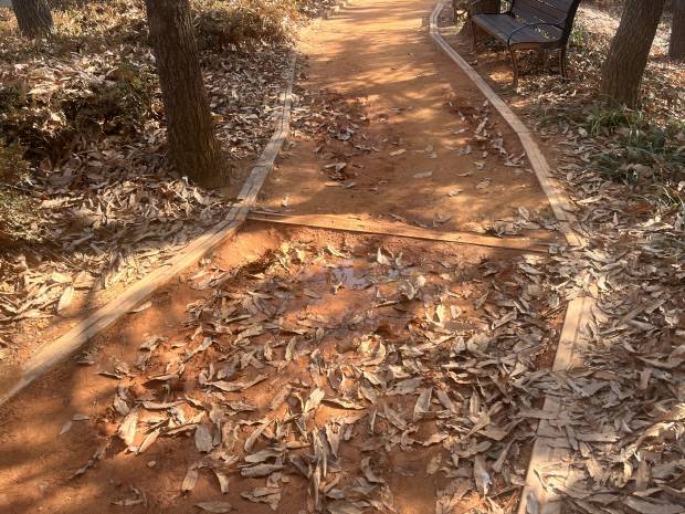 광주시 금호2동 금호어린이공원 맨발길에 웅덩이가 패여있고 낙엽으로 덮여 걷기에 불편하다.