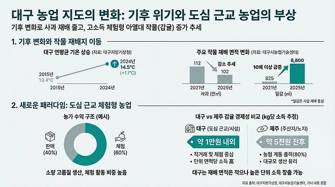 대구 농업 지도 변화 도식화 <그래픽=생성형 AI>