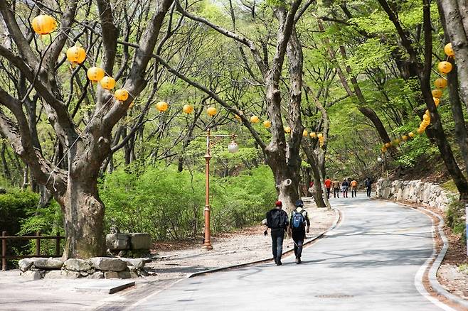 충남 계룡산 / 사진 = 한국관광공사