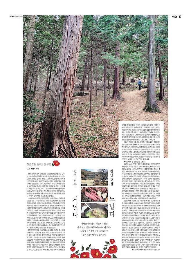 세계일보 여행면. 편집=김효순 기자