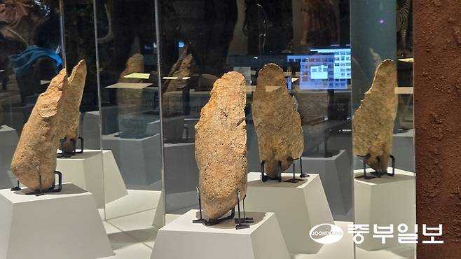 전곡선사박물관 상설전시실에 전시된 길이 42cm의 초대형 주먹찌르개. 임창희기자