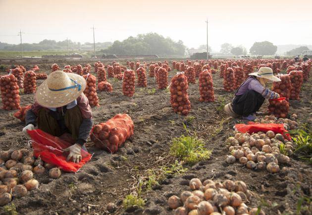 /클립아트코리아