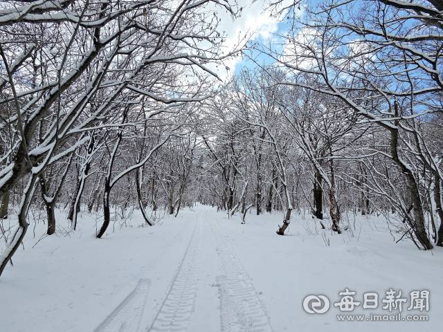 등산로 숲길에는 순백색 눈꽃이 만들어져 있다.조준호 기자