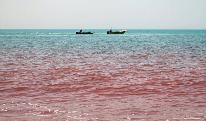 ▲사진은 기사내용과 관계없음 (출처=언스플래시)