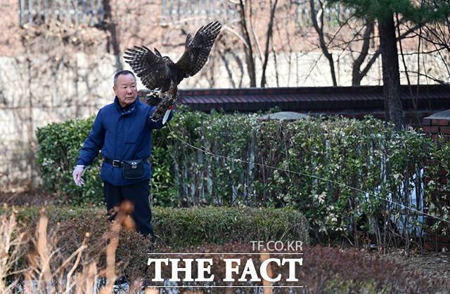 기둥 사이에 줄을 걸어 날갯짓하며 먹이를 잡는 '줄밥', 끈을 푼 상태에서 매가 날아올랐다가 목표 지점으로 돌아오는 과정의 '날밥' 등의 훈련이 있다.