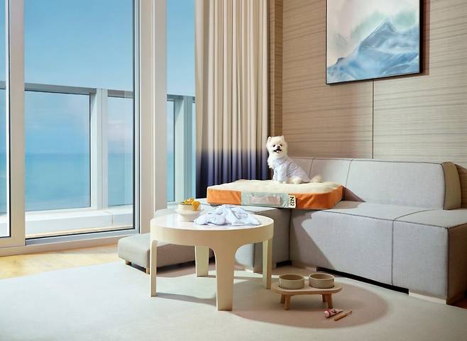 시그니엘 부산 펫 객실에 비치된 ‘N32 쪼꼬미’. / 사진=롯데호텔앤리조트 제공