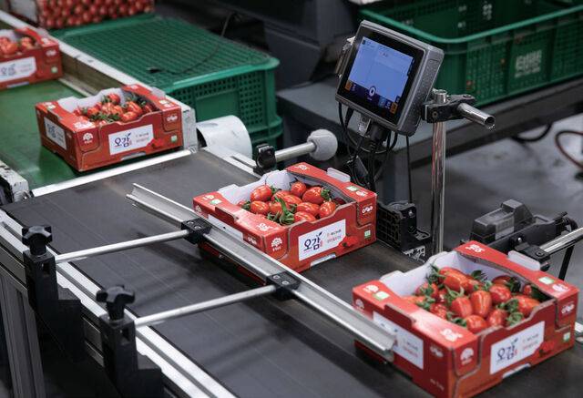 충남 부여군지역농협조합공동사업법인은 생산에서 출하까지 단계별로 엄격한 기준을 적용해 농산물 품질을 관리한다.