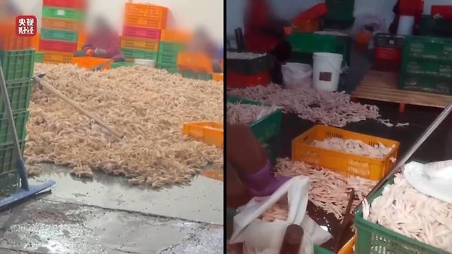 중국 CCTV 고발 식품가공공장 [CCTV 캡처. 재판매 및 DB 금지]