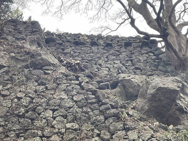 제주시 이도1동 오현단 인근에서 발견된 옛 제주성 성곽.