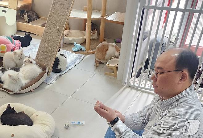 코벳과 SKY동물메디컬센터는 8일 나비야사랑해 보호소에서 봉사활동을 실시했다(코벳 제공). ⓒ 뉴스1