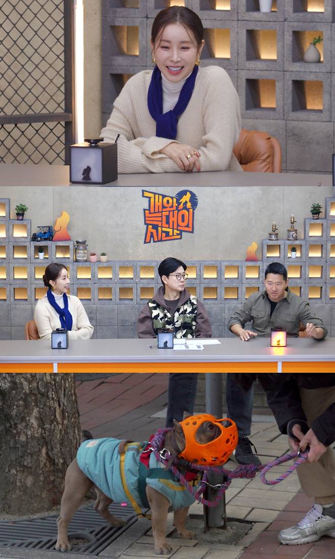 ‘개와늑대의시간2’ 보호자 감금견 (개늑시) (제공: 채널A)