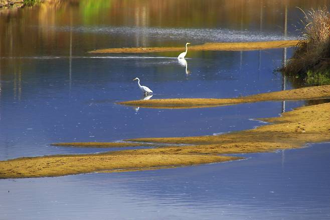고창 람사르습지
